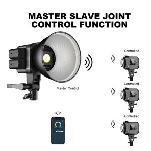 PDX SD80D Bi-Color LED Monolight